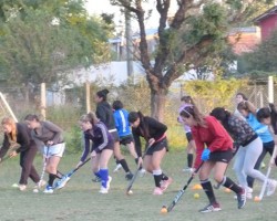 hockey-casm hockey-casm